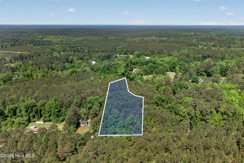 Tiny photo for 0 Borough Road, Currie, NC 28435 (MLS # 100568249)