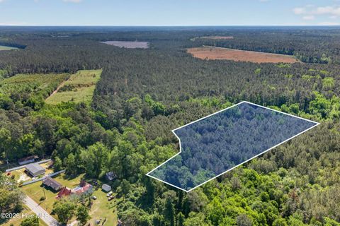 Tiny photo for 0 Borough Road, Currie, NC 28435 (MLS # 100568249)