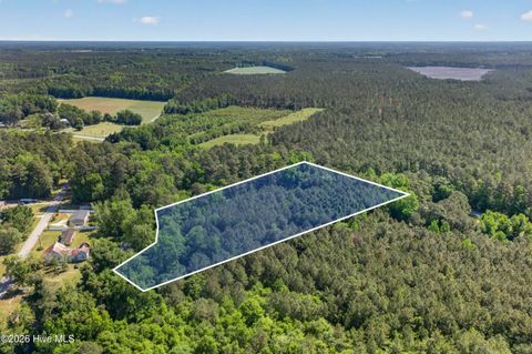 Tiny photo for 0 Borough Road, Currie, NC 28435 (MLS # 100568249)