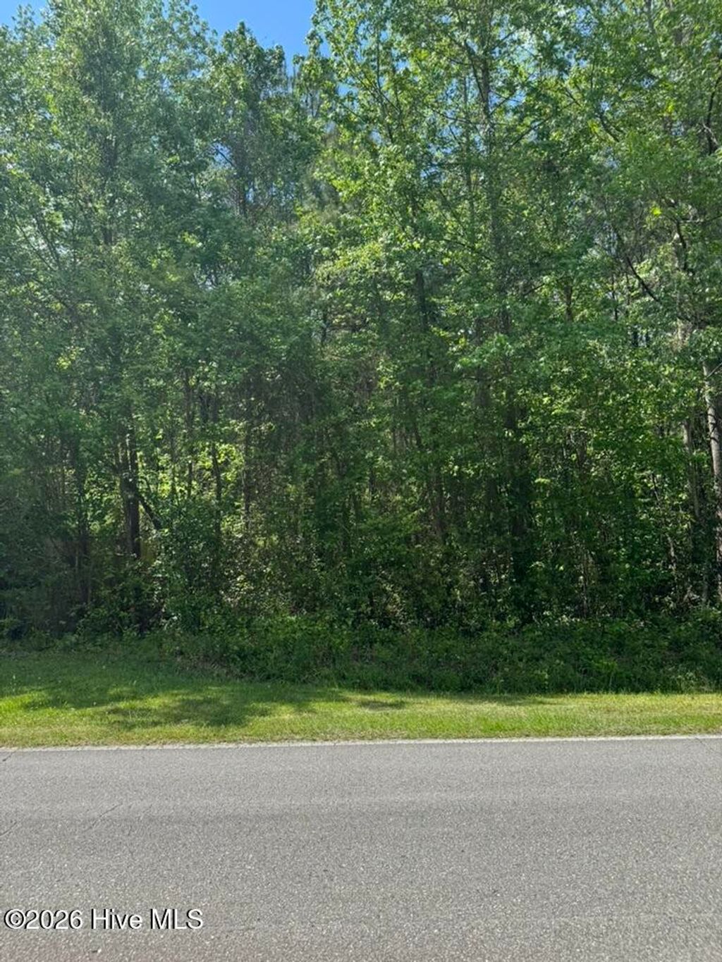 Photo of 0 Borough Road, Currie, NC 28435 (MLS # 100568249)