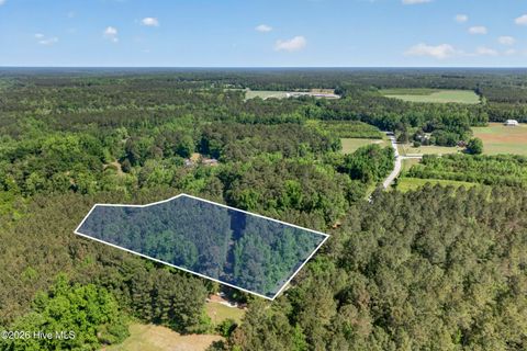 Tiny photo for 0 Borough Road, Currie, NC 28435 (MLS # 100568249)