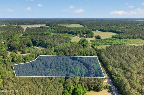 Photo of 0 Borough Road, Currie, NC 28435 (MLS # 100568249)