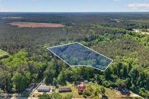 Tiny photo for 0 Borough Road, Currie, NC 28435 (MLS # 100568249)