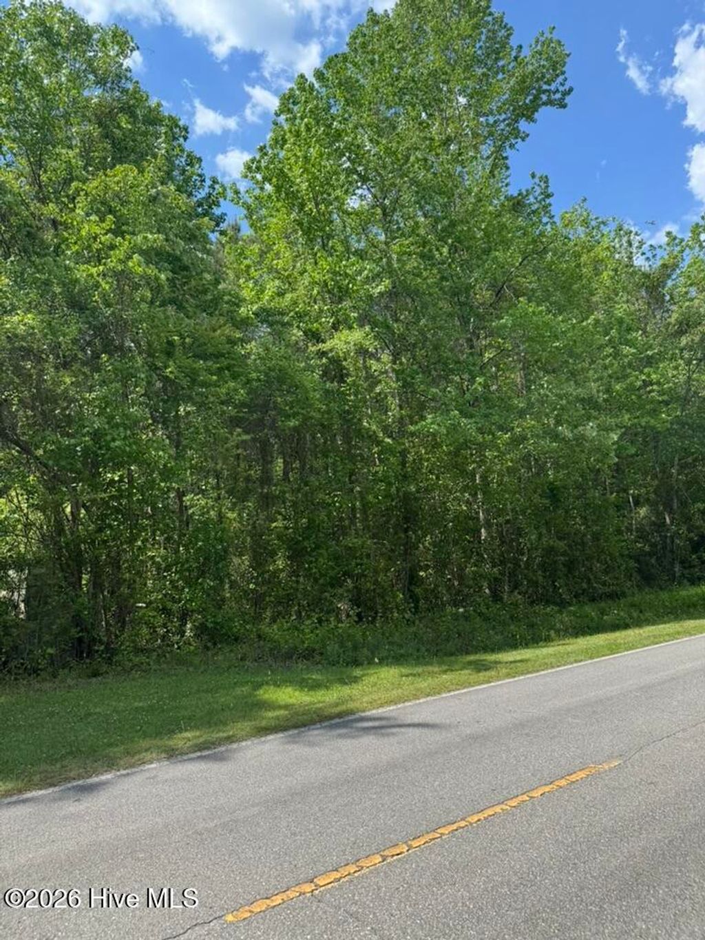Photo of 0 Borough Road, Currie, NC 28435 (MLS # 100568249)