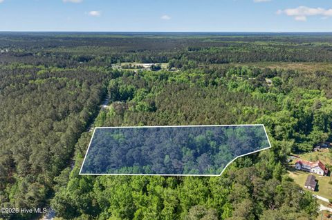 Tiny photo for 0 Borough Road, Currie, NC 28435 (MLS # 100568249)