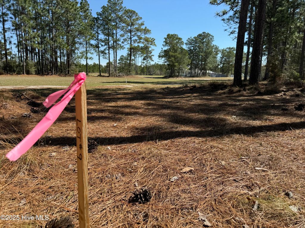 Photo of 8 Green Hill Road NE, Leland, NC 28451 (MLS # 100507443)