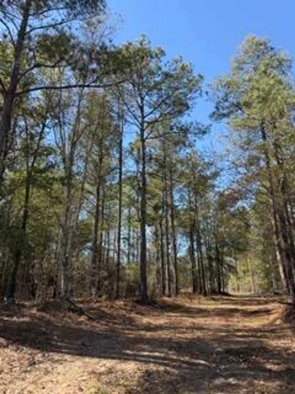 Photo of Tbd Yale Street, Salley, SC 29137 (MLS # 553359)