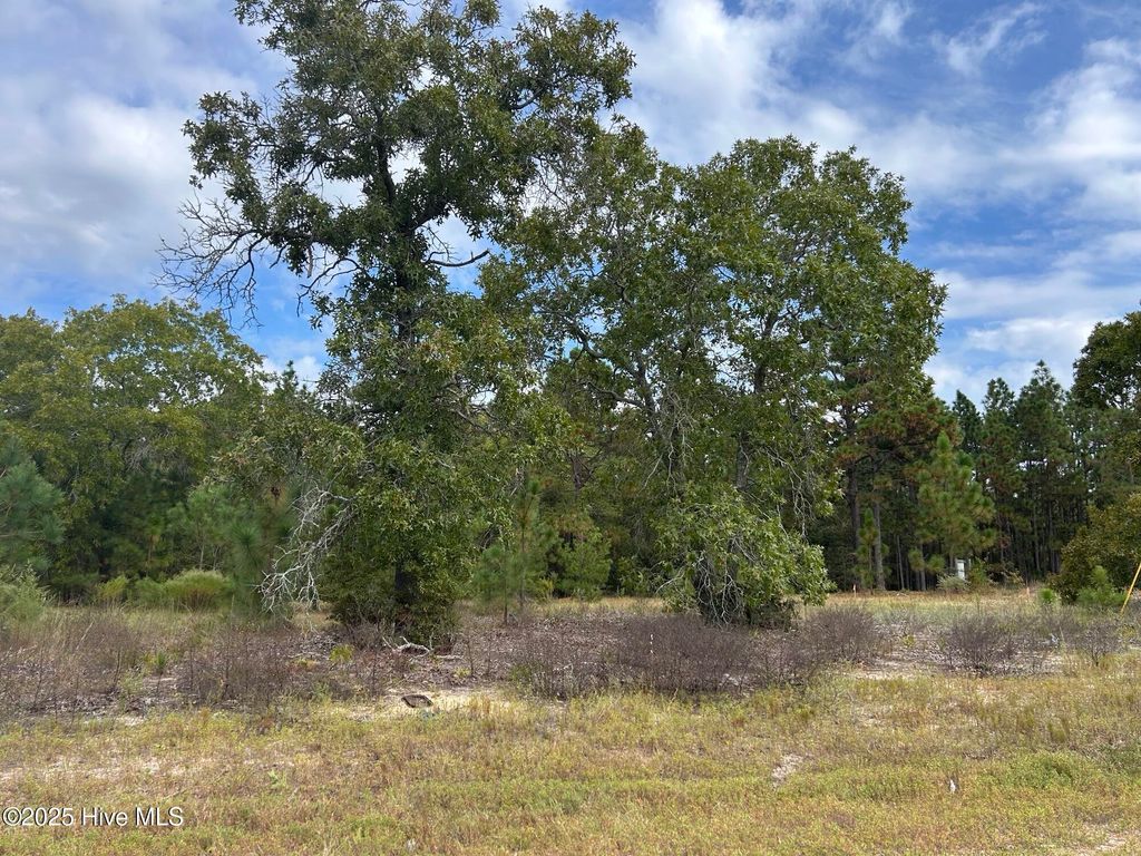 Photo of 35 Gum Swamp Lake Road, Marston, NC 28363 (MLS # 100571917)