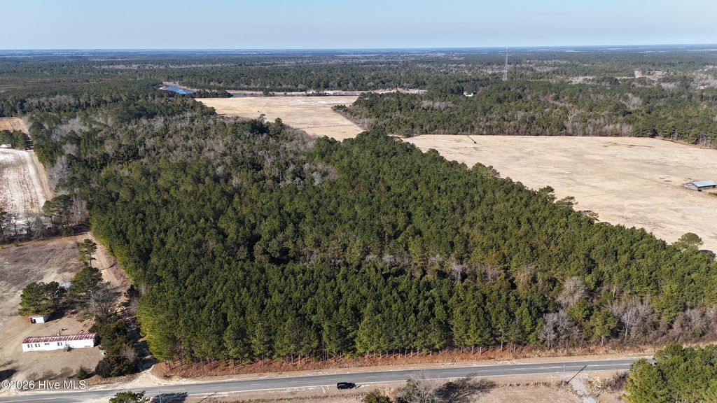 Photo of 523 Culbreth Smith Road, Elizabethtown, NC 28337 (MLS # 100568403)