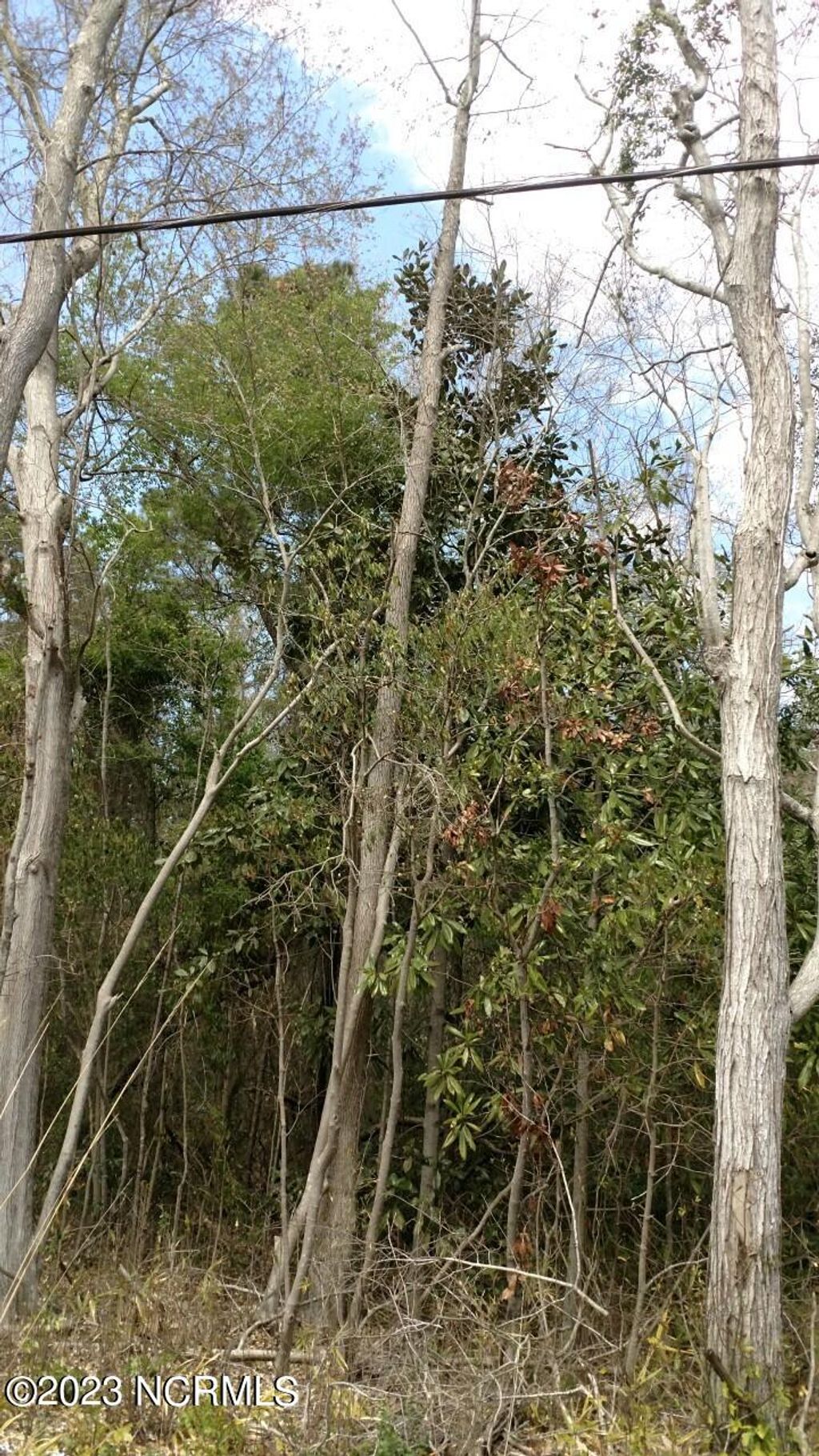 Photo of 00 Pennsylvania Avenue, Rocky Point, NC 28457 (MLS # 100493255)