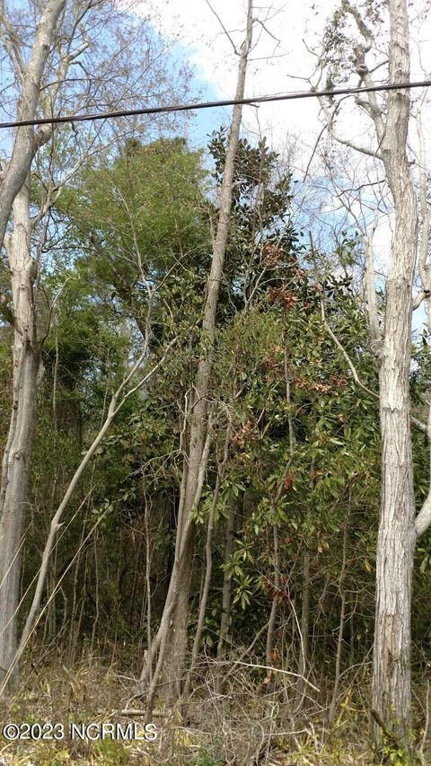 Vacant Land For Sale - 00 Pennsylvania Avenue<br/> Rocky Point, NC 28457