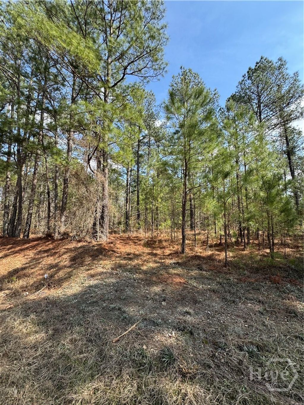 Photo of 0 Anthony Shoals Road, Tignall, GA 30668 (MLS # CL350572)