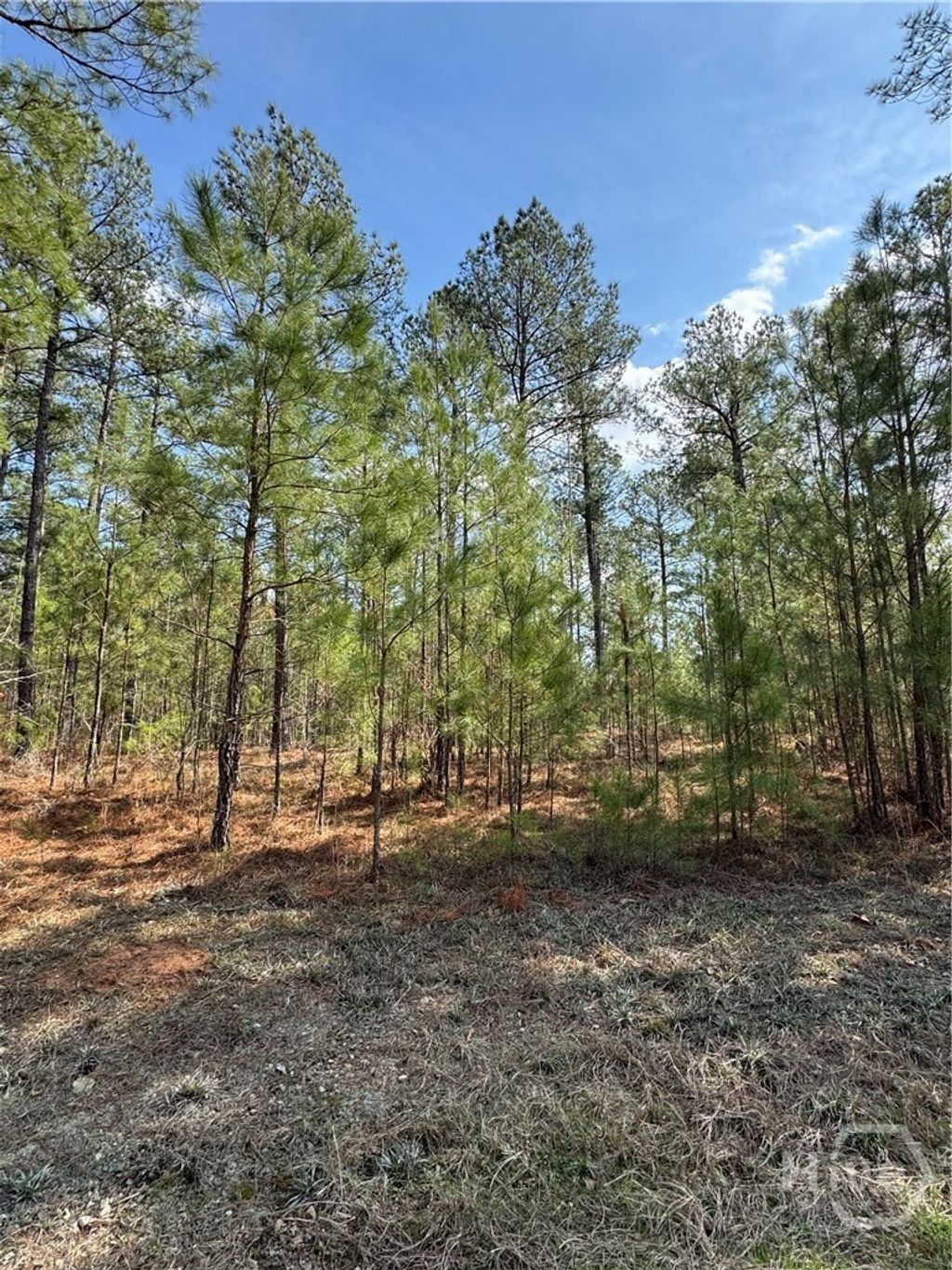 Photo of 0 Anthony Shoals Road, Tignall, GA 30668 (MLS # CL350572)
