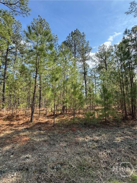 Vacant Land For Sale - Anthony Shoals Road<br/> Tignall, GA 30668
