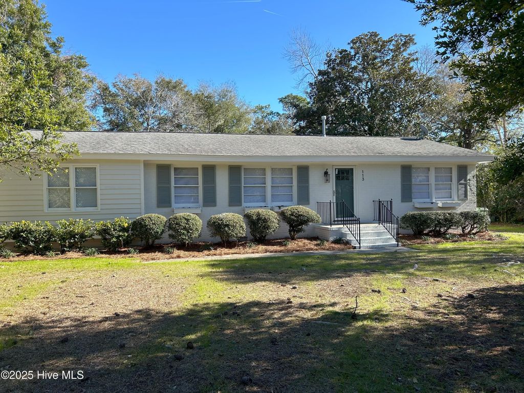 Photo of 113 Hawthorne Drive, Wilmington, NC 28403 (MLS # 100567465)