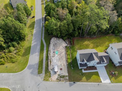 Photo of 4889 Scarlet Sage Way, Shallotte, NC 28470 (MLS # 100544173)