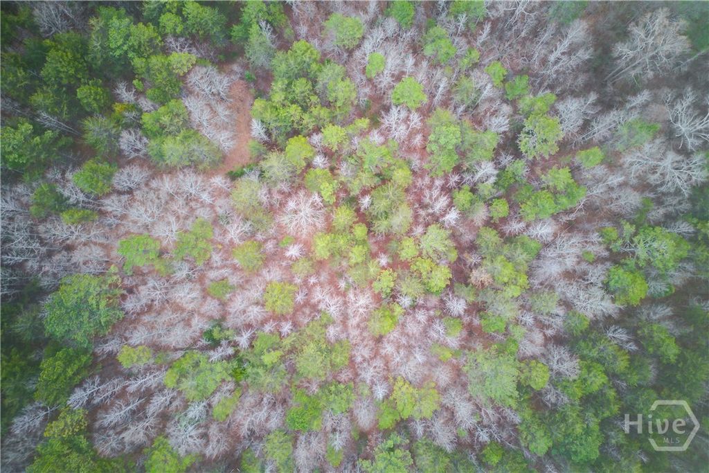 Photo of 0 Sunshine Church Road Road, Carnesville, GA 30521 (MLS # CL350654)