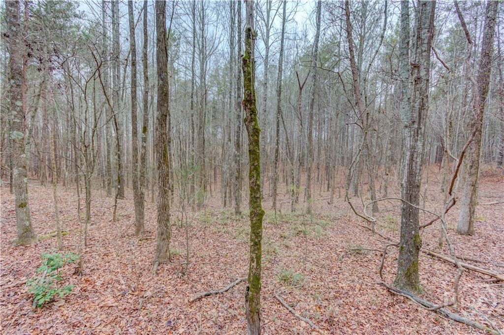 Photo of 0 Sunshine Church Road Road, Carnesville, GA 30521 (MLS # CL350654)