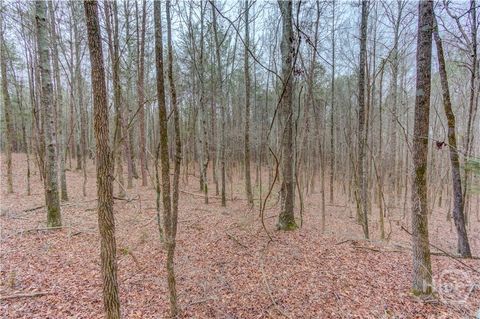 Vacant Land For Sale - Sunshine Church Road Road<br/> Carnesville, GA 30521