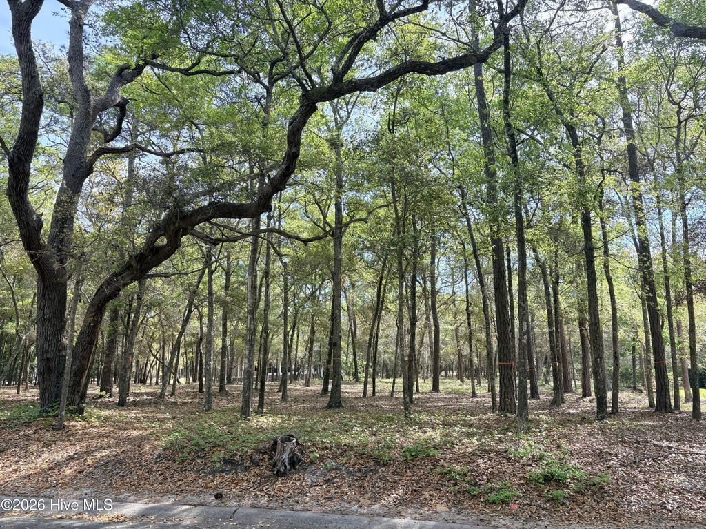 Photo of 3456 Concordia Avenue SW, Supply, NC 28462 (MLS # 100567644)