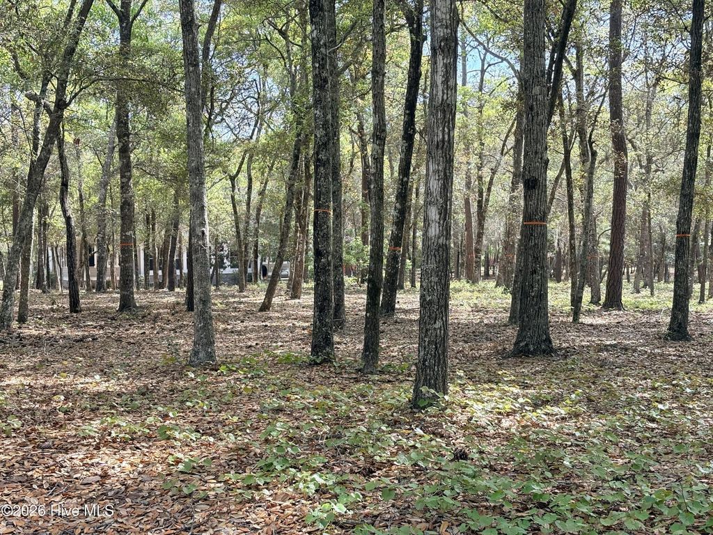 Photo of 3456 Concordia Avenue SW, Supply, NC 28462 (MLS # 100567644)