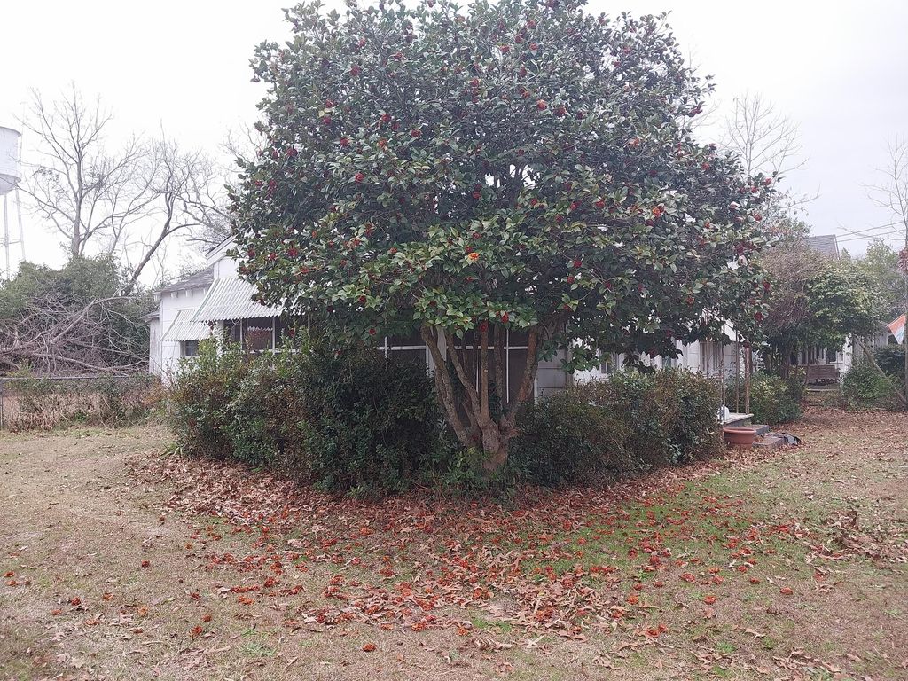 Photo of 135 E Trippe Street, Harlem, GA 30814 (MLS # 551323)
