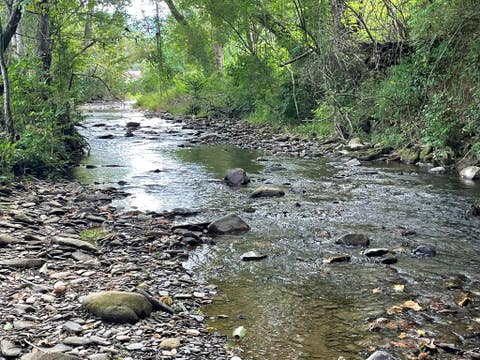 Vacant Land For Sale - 00 Highway 19<br/> Andrews, NC 28901