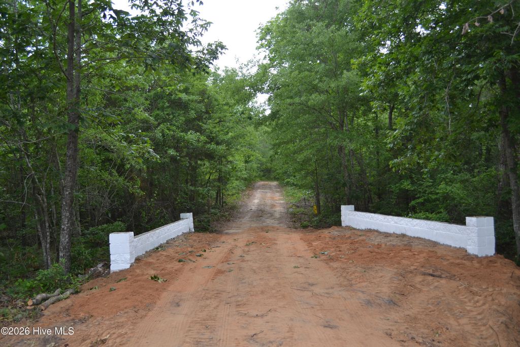 Photo of 00 Old Barnwell Road Road, Windsor, SC 29856 (MLS # 100574302)