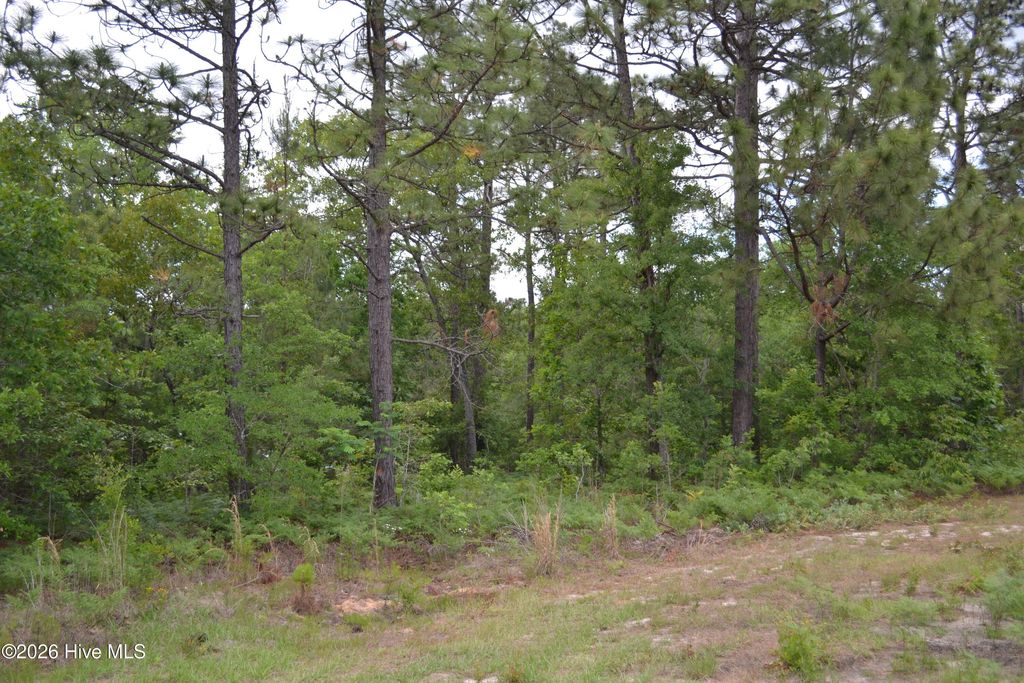 Photo of 00 Old Barnwell Road Road, Windsor, SC 29856 (MLS # 100574302)