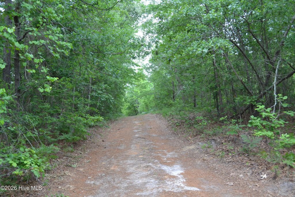Photo of 00 Old Barnwell Road Road, Windsor, SC 29856 (MLS # 100574302)