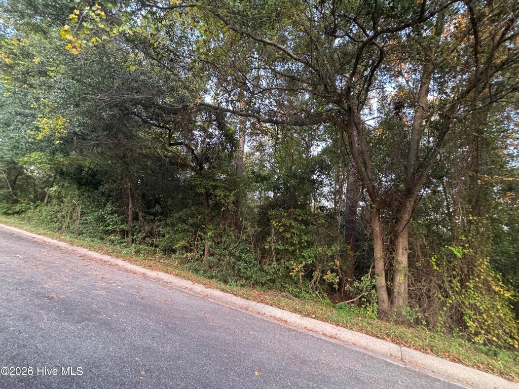 Photo of Tbd Mckinnon Road, Rockingham, NC 28379 (MLS # 100611217)
