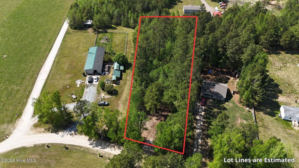 Photo of 20 Mallard Roost Drive, Burgaw, NC 28425 (MLS # 100556813)