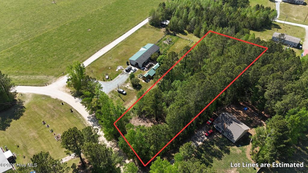 Photo of 20 Mallard Roost Drive, Burgaw, NC 28425 (MLS # 100556813)