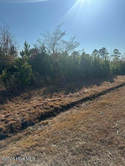 Photo of 2645 Braswell Road, Chadbourn, NC 28431 (MLS # 100596724)