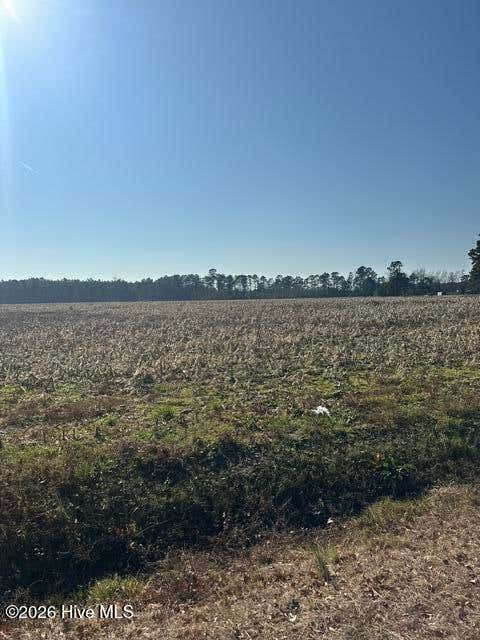 Vacant Land For Sale - 2645 Braswell Road<br/> Columbus County, Chadbourn, NC 28431