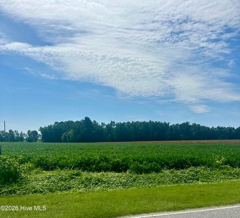 Vacant Land For Sale - 2645 Braswell Road<br/> Chadbourn, NC 28431