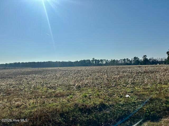 Photo of 2645 Braswell Road, Chadbourn, NC 28431 (MLS # 100596724)