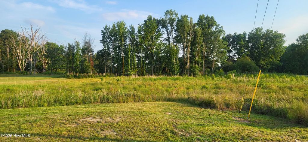 Photo of 2085 Antioch Road, Pikeville, NC 27863 (MLS # 100584530)