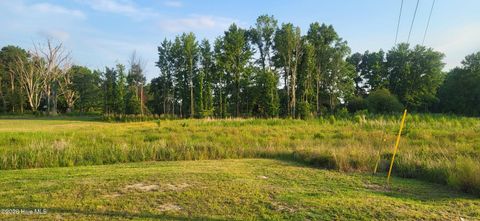 Vacant Land For Sale - 2085 Antioch Road<br/> Wayne County, Pikeville, NC 27863