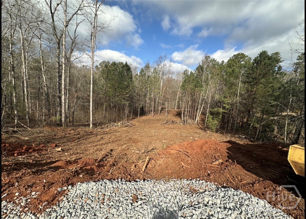 1698 Shoal Creek Way