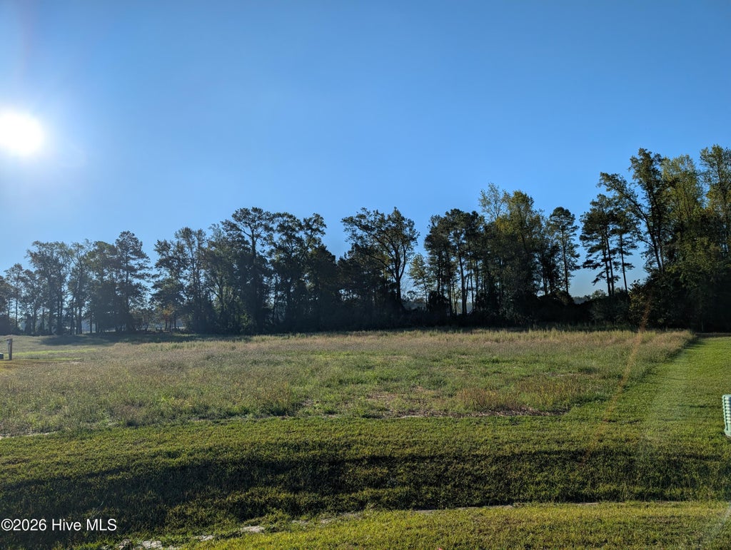 Photo of 459 Driftwood Drive, Richlands, NC 28574 (MLS # 100609764)