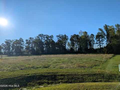 Photo of 459 Driftwood Drive, Richlands, NC 28574 (MLS # 100609764)