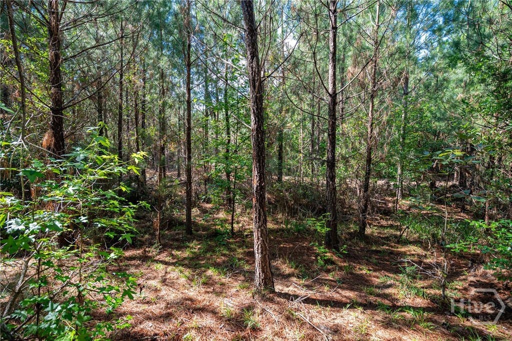 Photo of 2 Brewer's Bridge Road, Elberton, GA 30635 (MLS # CL358900)