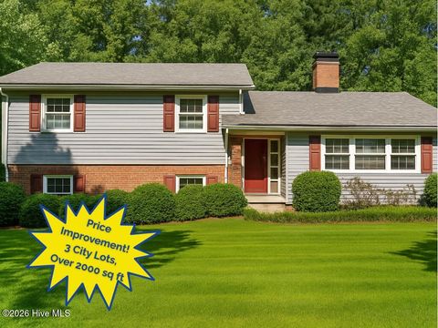 Photo of 1911 Salem Church Road, Goldsboro, NC 27530 (MLS # 100549490)