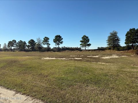 Vacant Land For Sale - 136 Pinewood Cove<br/> Snow Hill, NC 28580