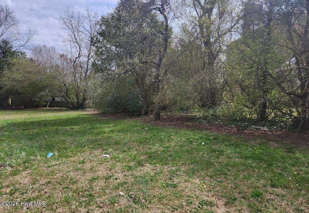 Photo of 000 Selden Street, Elizabeth City, NC 27909 (MLS # 100571592)