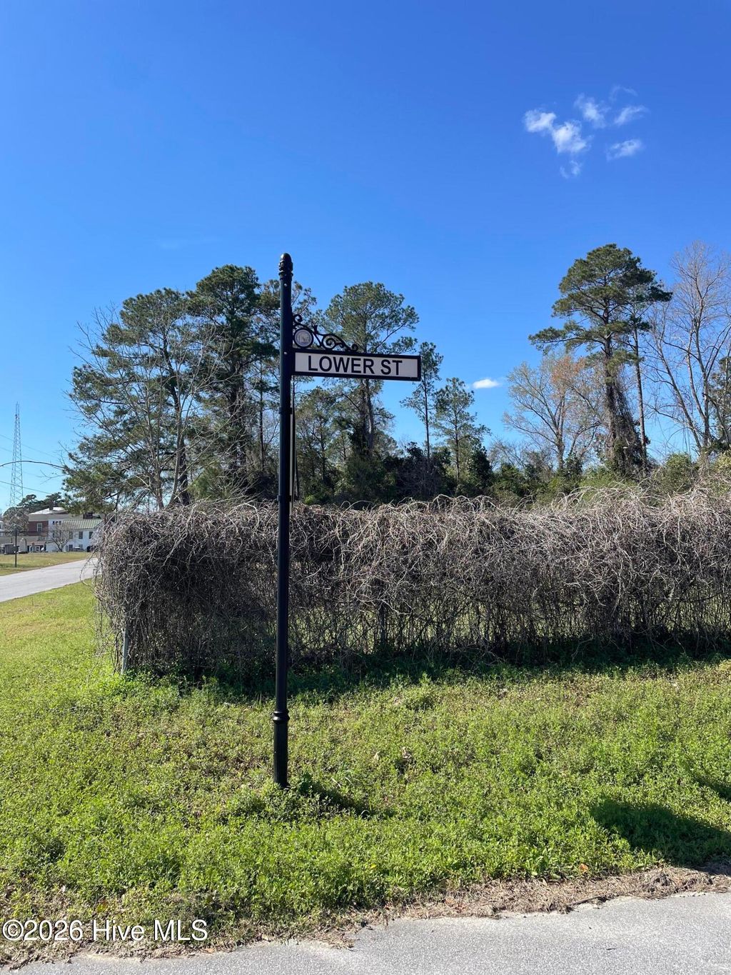 Photo of 101 N Weber Street, Trenton, NC 28585 (MLS # 100562133)