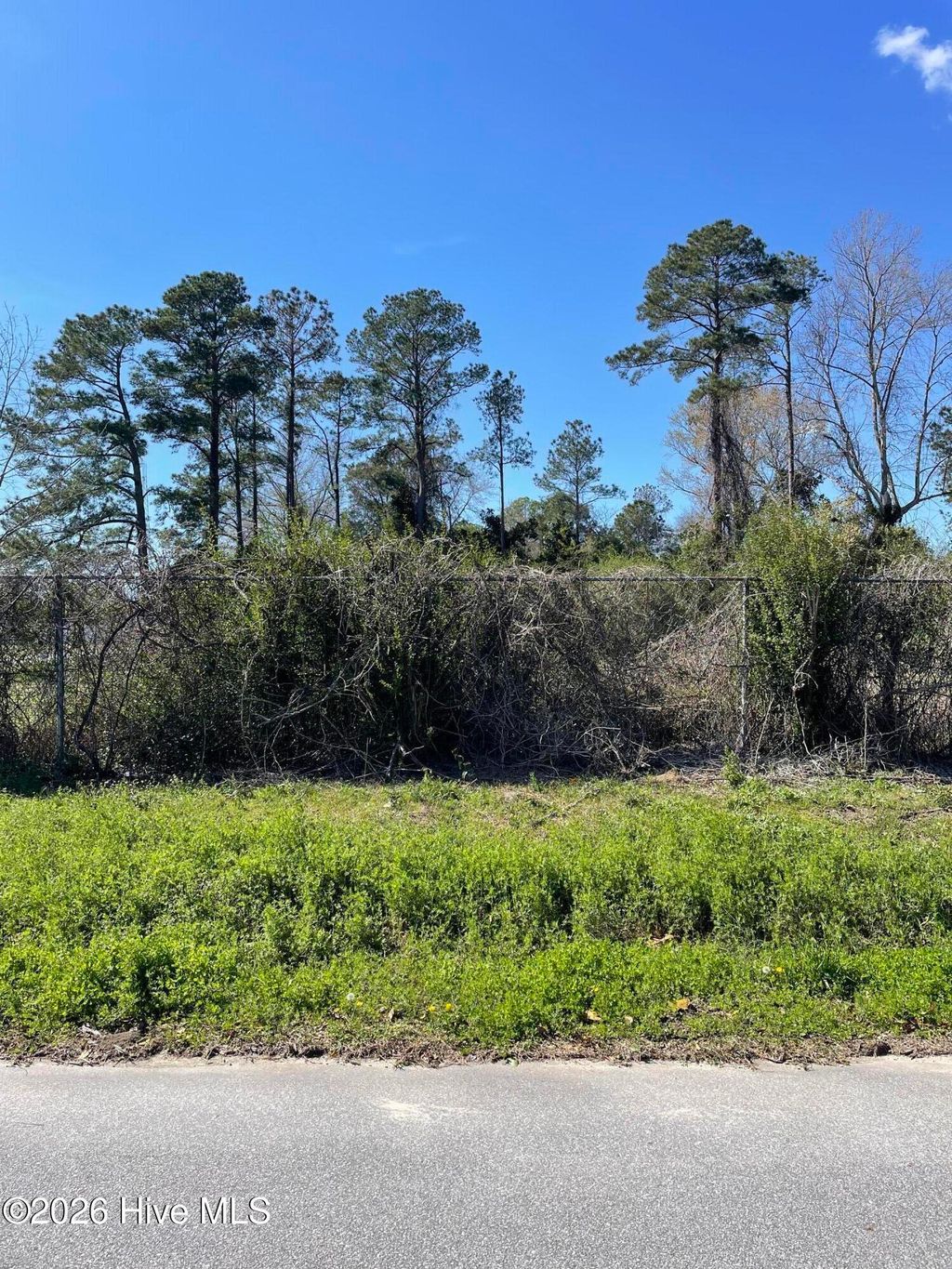 Photo of 101 N Weber Street, Trenton, NC 28585 (MLS # 100562133)