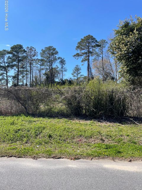 Vacant Land For Sale - 101 N Weber Street<br/> Jones County, Trenton, NC 28585