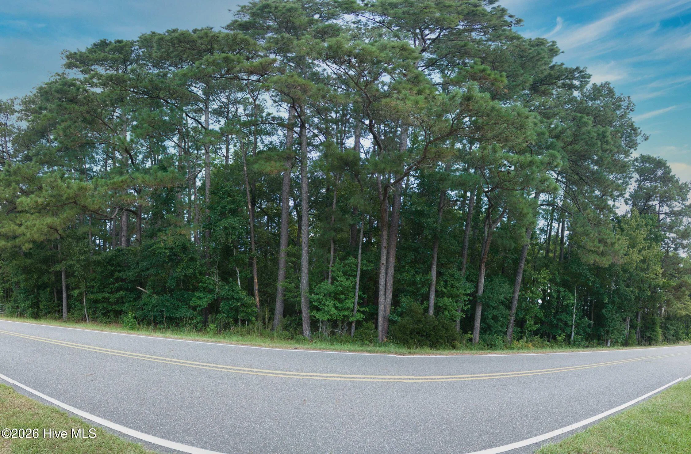0000a Near 855 Furnie Hamm Road, Clarendon, NC, 28432